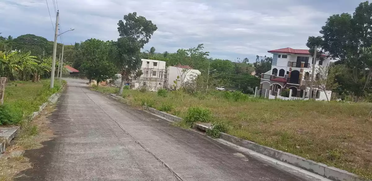 144 sqm Lot only in Glen Rose Residential Estate, Perrelos, Carcar City, Cebu - photo 5