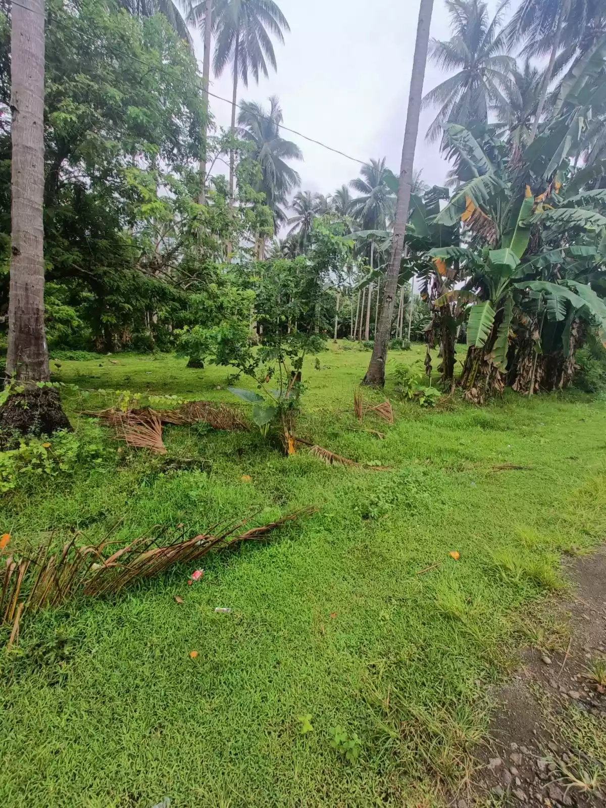 LOT FOR SALE - photo 5