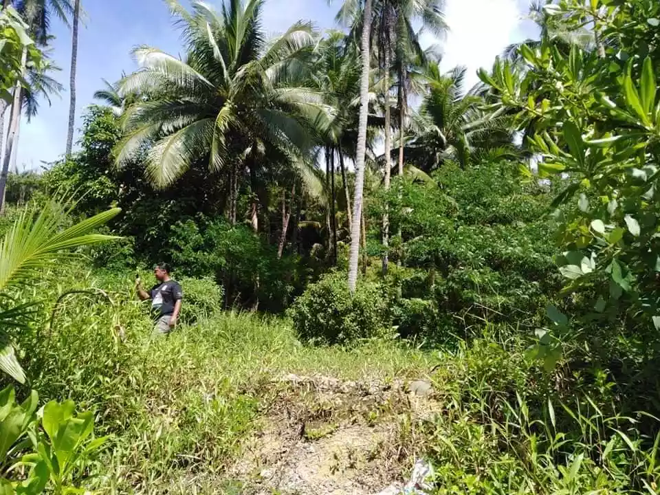 Beach Lot For Sale in Sta. Monica, Siargao Islands - photo 5