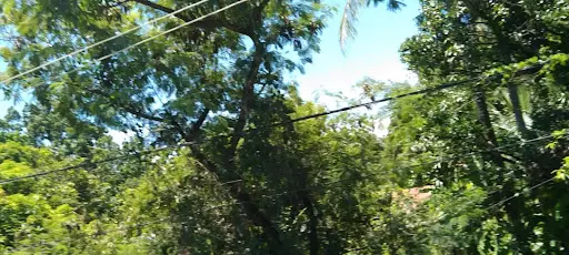 Commercial Lot in Carmen Cebu for SALE! — Commercial Lot in Carmen, Cebu, Philippines — Photo 5