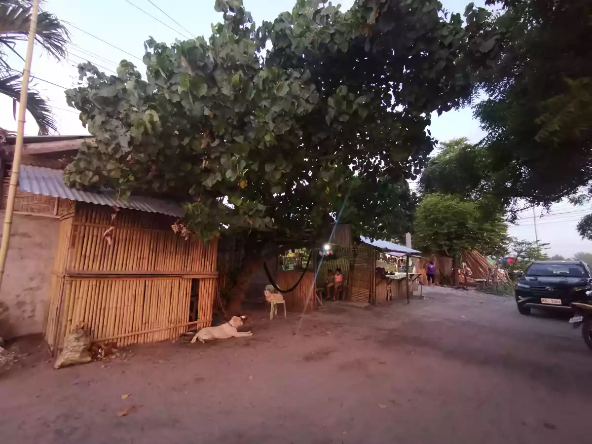 444sqm Commercial Lot Along Highway near Mira Clinic and MSU College Campus.  - photo 3