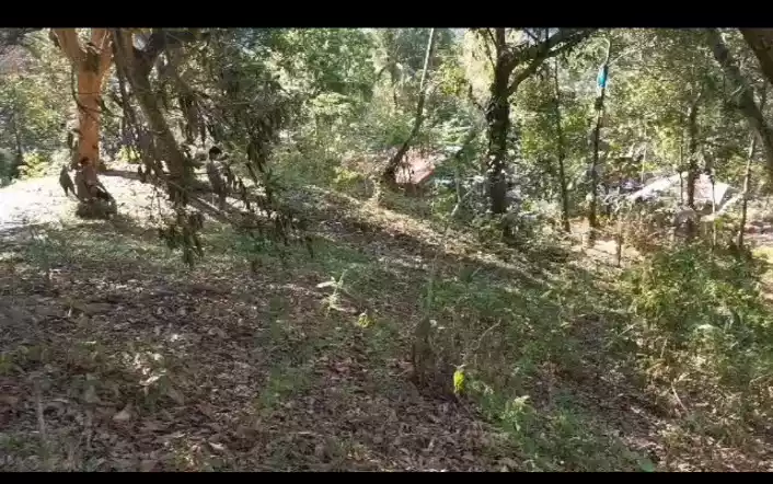 Agriculture Land - photo 5
