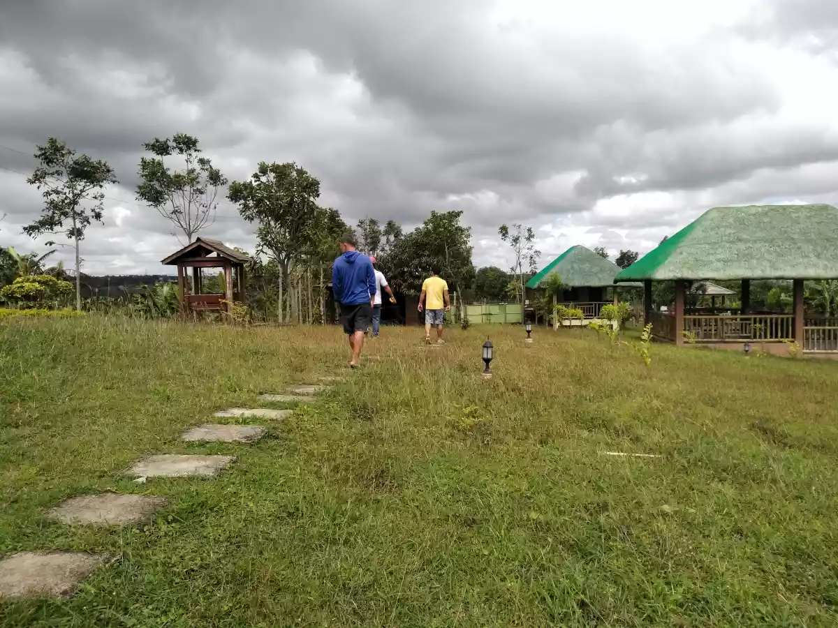 Casile HOT farm lot - photo 7