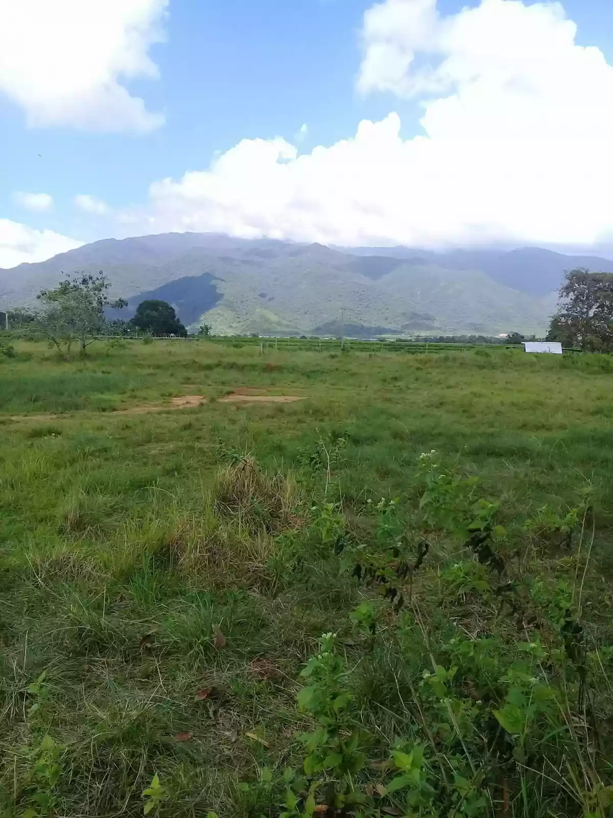 AFFORDABLE RAW LOTS IN NARRA PALAWAN NEAR PUERTO PRINCESA CITY! - photo 2