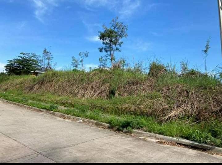 BIG LOT IN MONTERAZZAS GUADALUPE — Residential Lot in Cebu City, Cebu, Philippines — Photo 6
