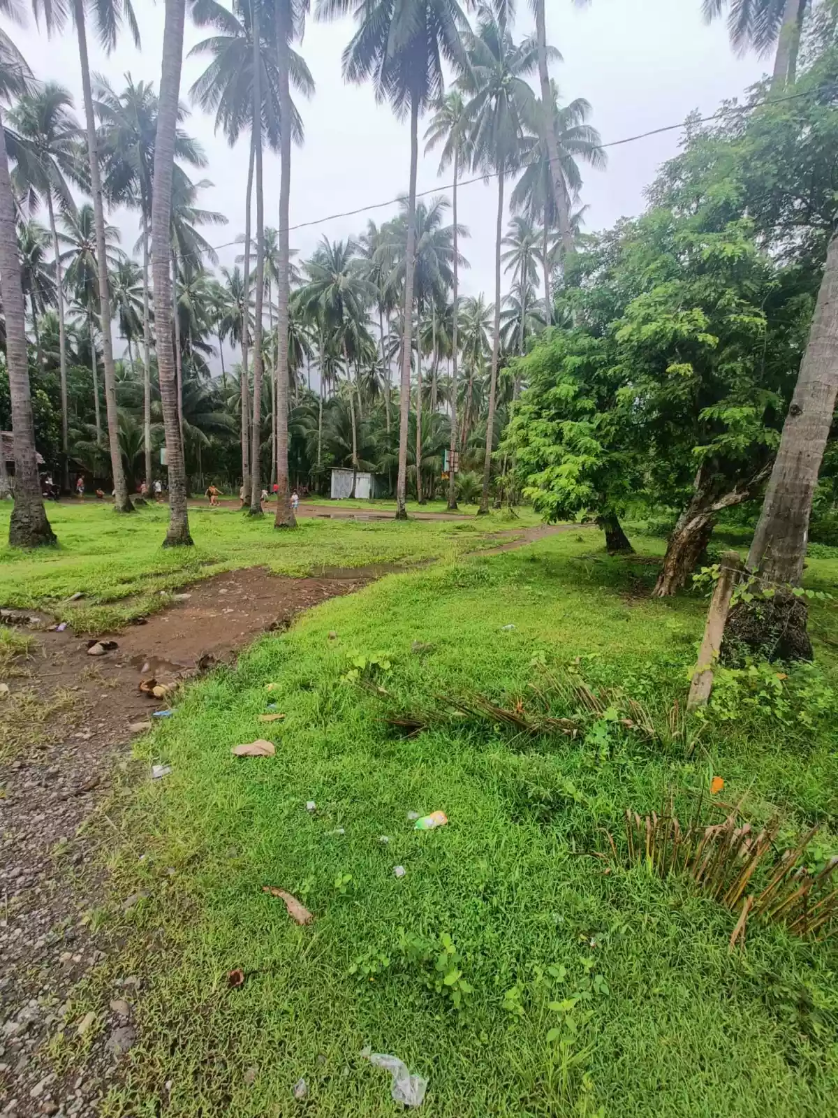 LOT FOR SALE - photo 6