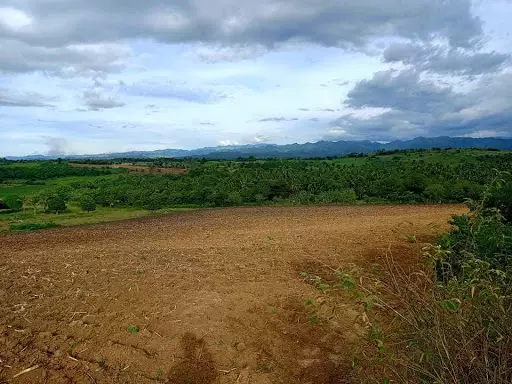 Lot for sale at Brgy Baluntay Alabel Sarangani Province — Agricultural Lot in Alabel, Sarangani, Philippines — Photo 3