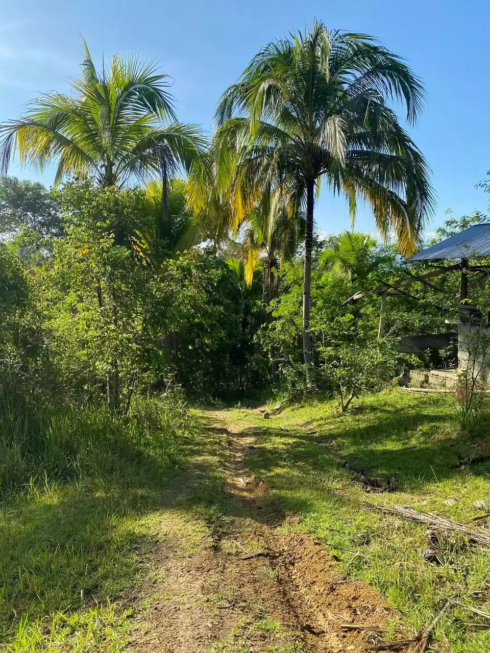 Over Looking LOT FOR SALE along Brgy Road Bayanga, Cagayan de Oro City — Agricultural Lot in Cagayan de Oro, Misamis Oriental, Philippines — Photo 4