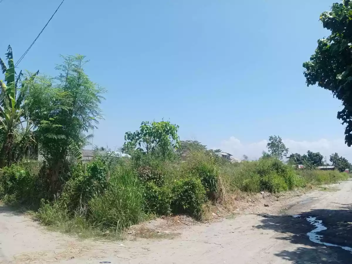 Lot For Sale in Calumpang Gensan with 970sqm — Residential Lot in General Santos City, South Cotabato, Philippines — Photo 3