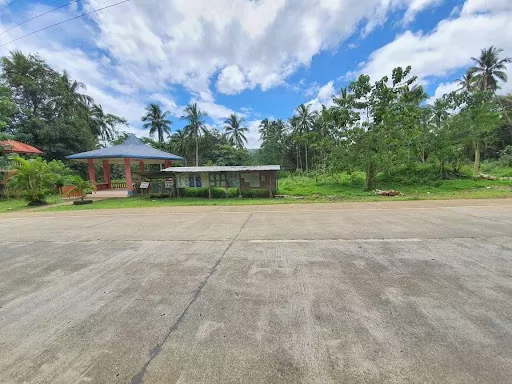 RUSH LOT FOR SALE ALONG NATIONAL HIGHWAY — Commercial Lot in Misamis Oriental, Philippines — Photo 2