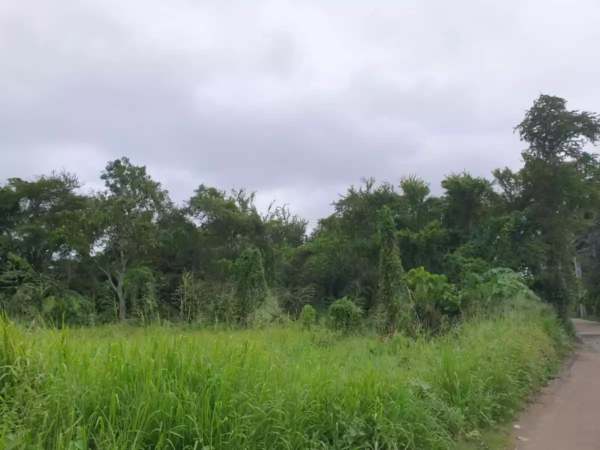 RESIDENTIAL LOT FOR SALEâ€¼ï¸ Lumiyap road, Divisoria,Zamboanga City — Residential Lot in Zamboanga del Sur, Philippines — Photo 4