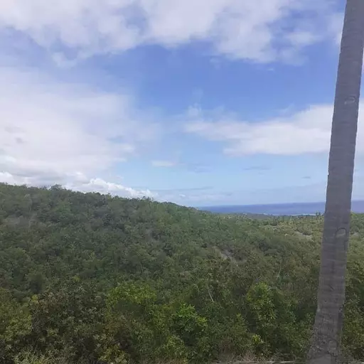 LOT for sale — Residential Lot in Boljoon, Cebu, Philippines — Photo 2