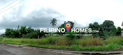 Residential Lot — Residential Lot in Naga, Camarines Sur, Philippines — Photo 4