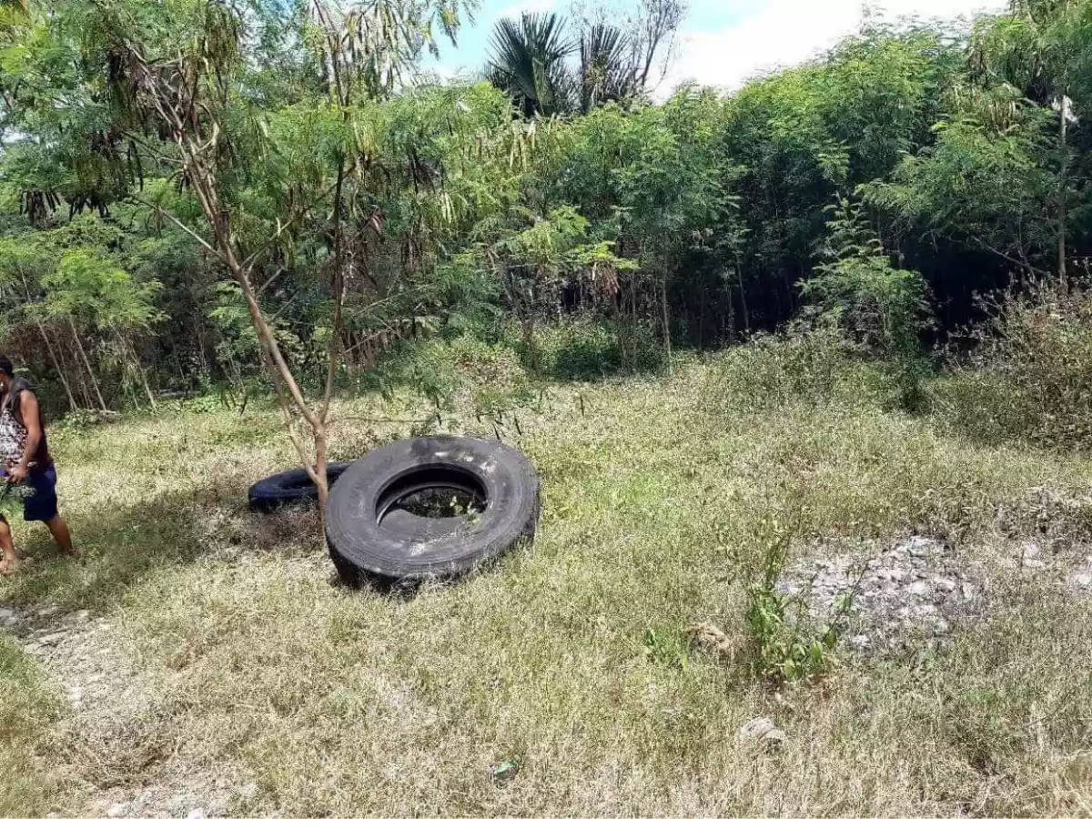 Commercial Lot for Sale in Mandaue — Warehouse in Mandaue City, Cebu, Philippines — Photo 5