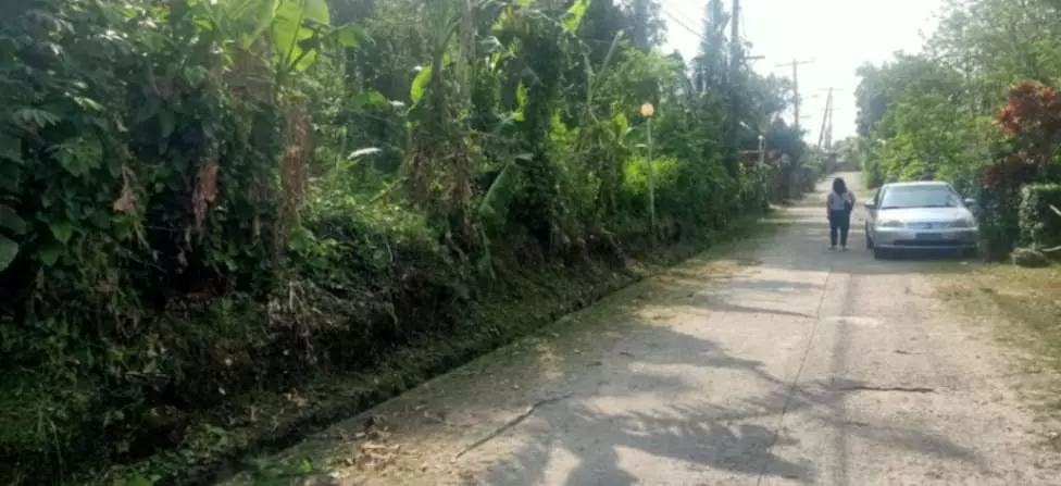 For Sale: 1,000sqm Lot in Buho Silang, Tagaytay Road – Near CALAX Exit — Residential Lot in Amadeo, Cavite, 4119 — Photo 2