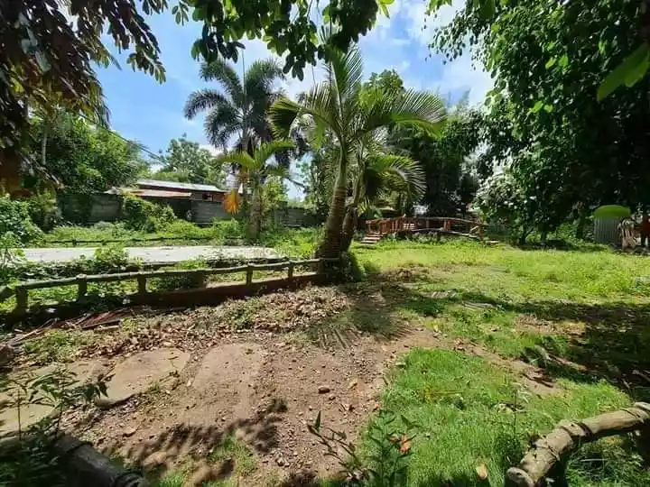 1 HECTARE FARM IN ALABEL - photo 4