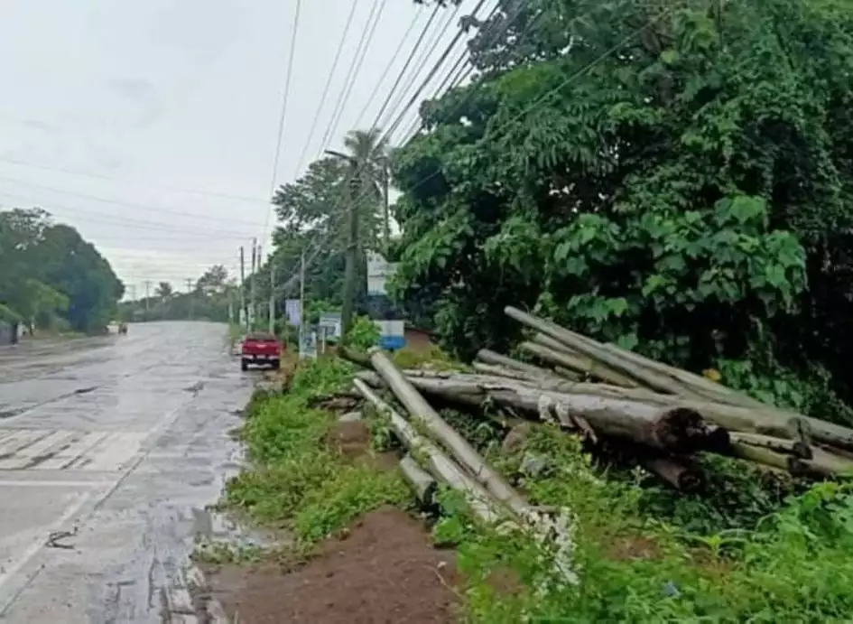 For Sale- LOT only (  4,800 sq. meters ) situated at the industrial zone along main highway of Digos City. — Agricultural Lot in Davao del Sur, Philippines — Photo 3