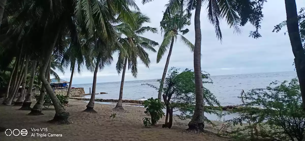 COMMERCIAL/BEACH LOT FOR SALE IN DANAO CITY - photo 4