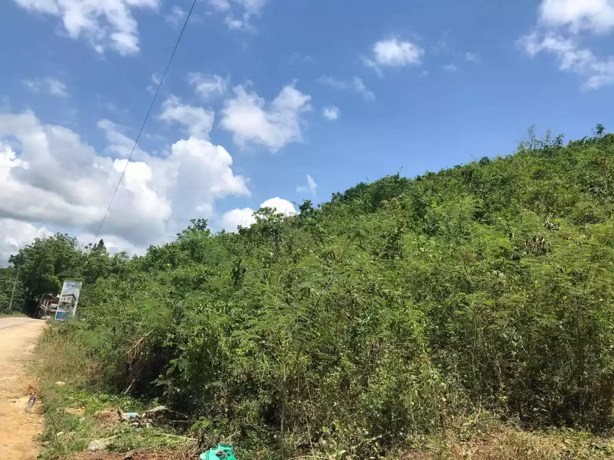 Lot for Sale - Ideal for Subdivision - photo 7