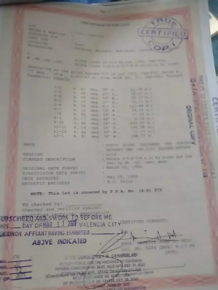 Open photo 15 of 19 — 10 hectares farm/agricultural land