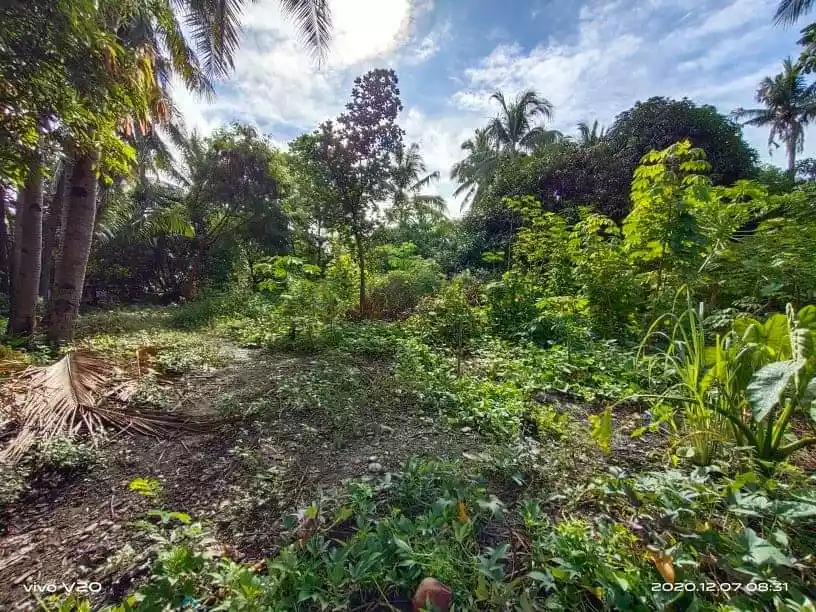 Residential Lot - photo 4