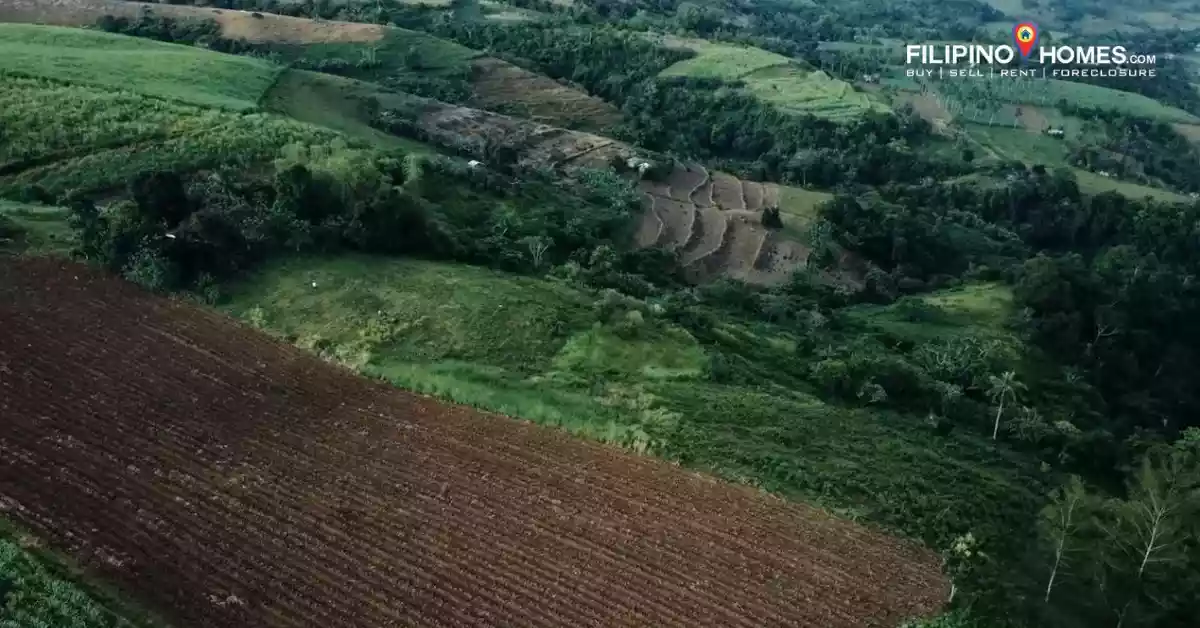 LOT in Don Salvador for sale — Agricultural Lot in Negros Occidental, Philippines — Photo 3