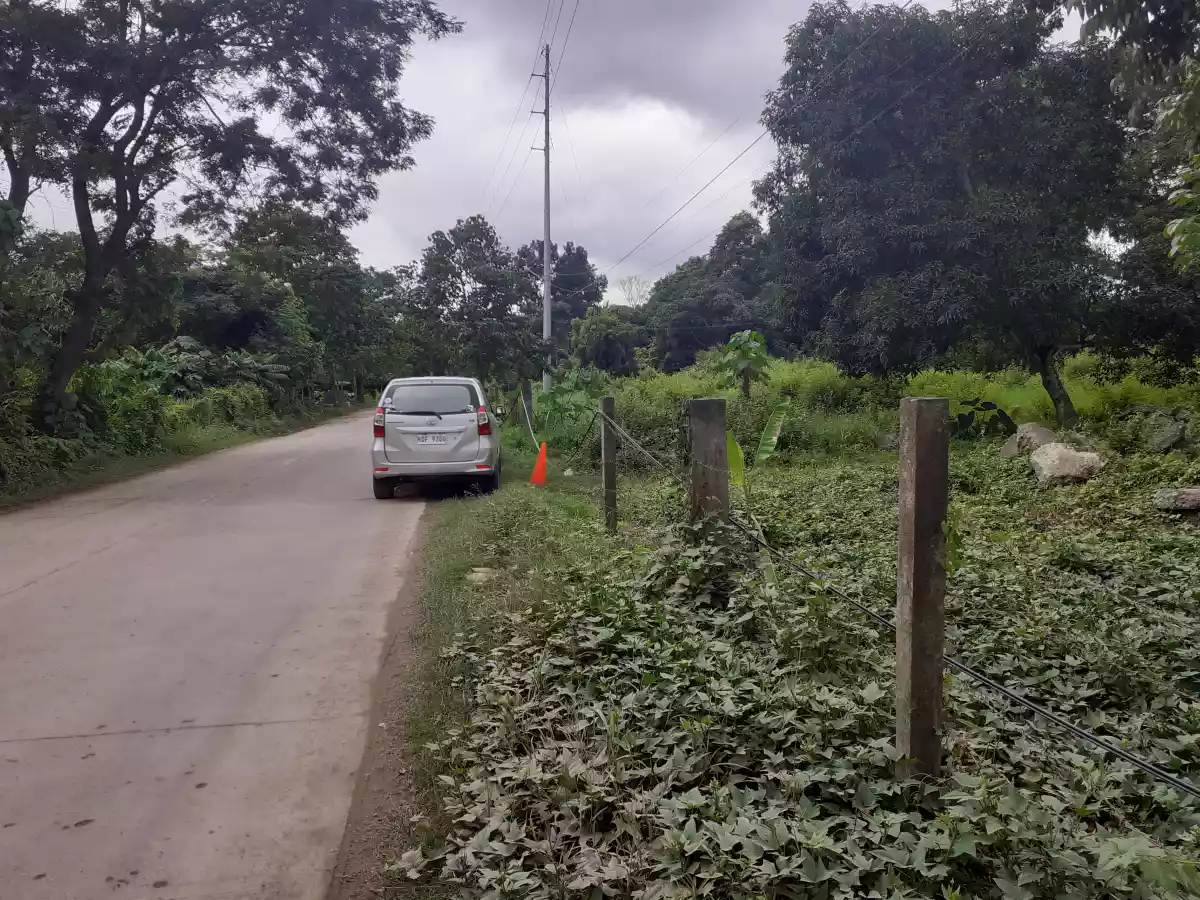 Lot 3,834sqm for sale — Agricultural Lot in Cagayan de Oro, Misamis Oriental, Philippines — Photo 4