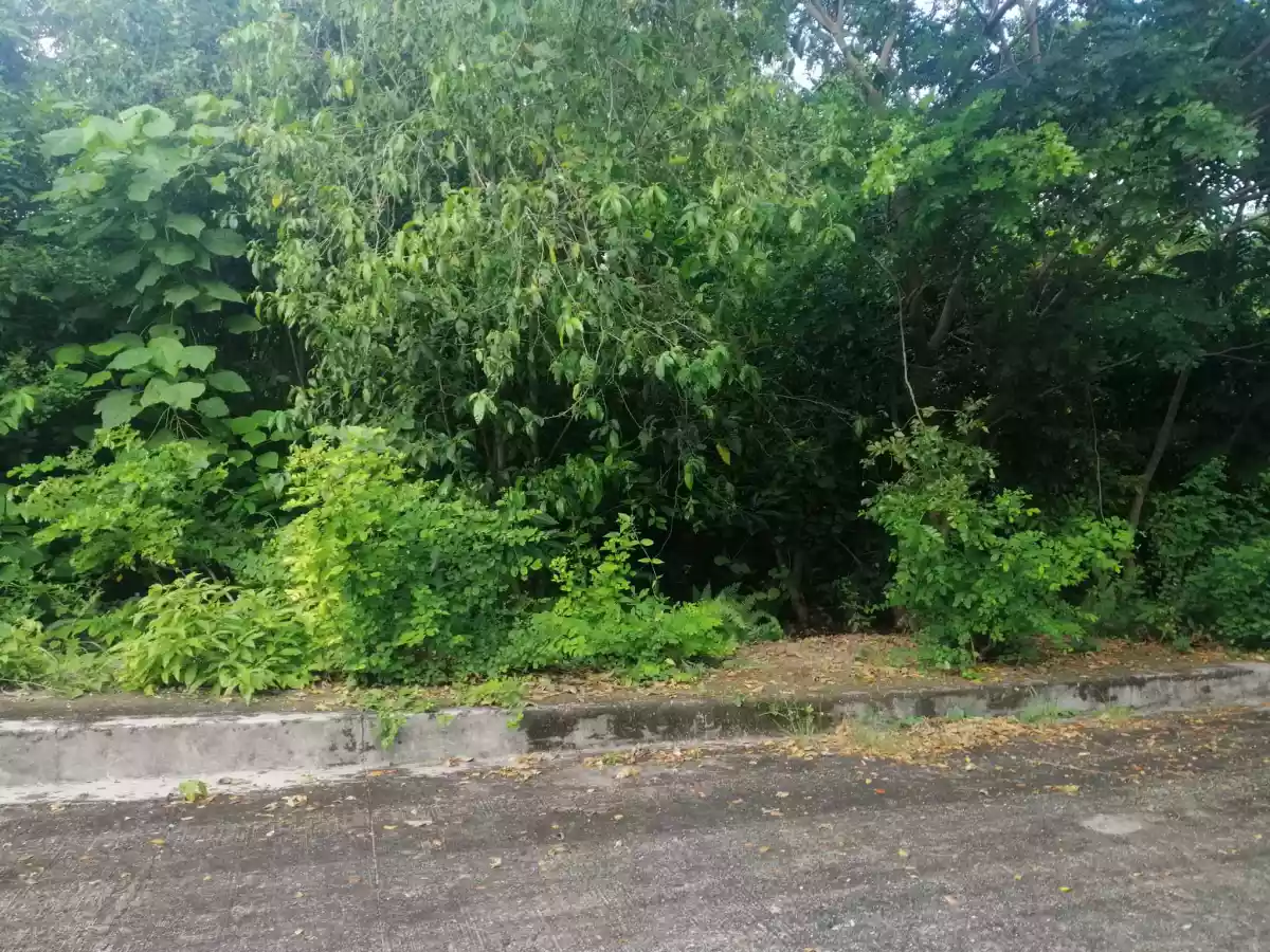 LOT ONLY AT SUMMERHILLS SUBD. — Residential Lot in Compostela, Cebu, Philippines — Photo 4