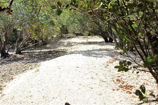 Open photo 15 of 15 — Island for sale 1.5 Hectares Balabugan Isaland in Palawan 
