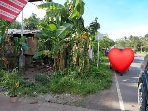 Titled — Commercial Lot in Agusan Del Norte, Philippines — Photo 4