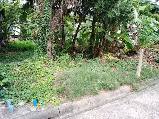 LOT FOR SALE??