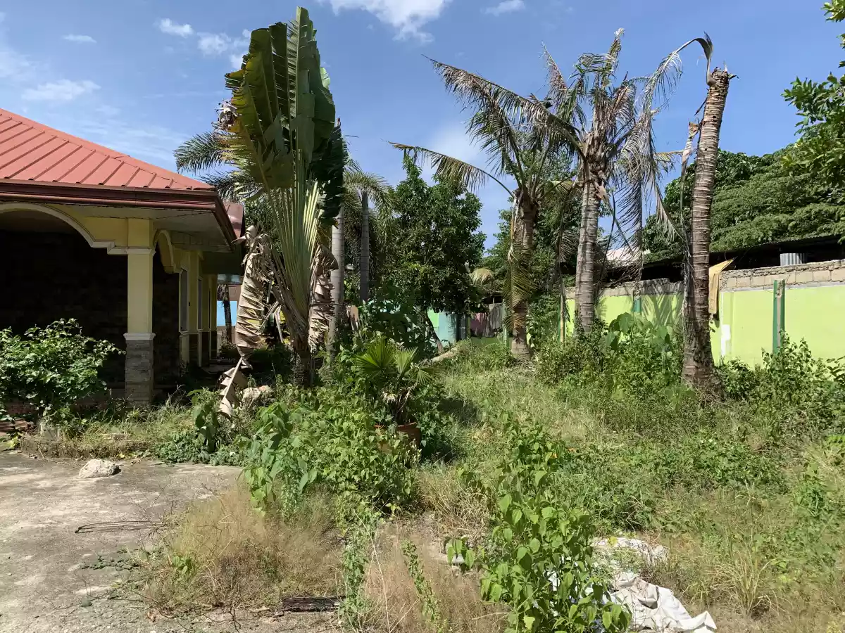 Agus commercial lot for sale  - photo 4