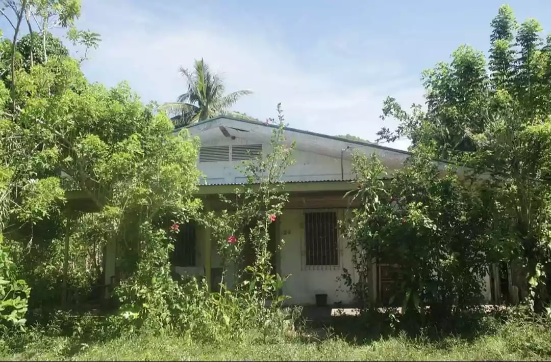 LOT — Agricultural Lot in Cebu, Philippines — Photo 3