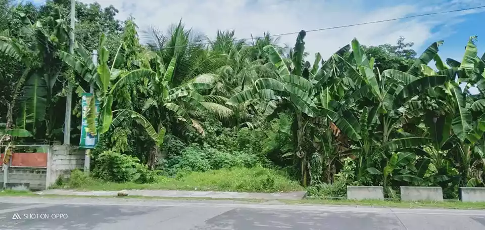 Commercial Lot For Sale - Along National Superhighway — Commercial Lot in Negros Oriental, Philippines — Photo 4