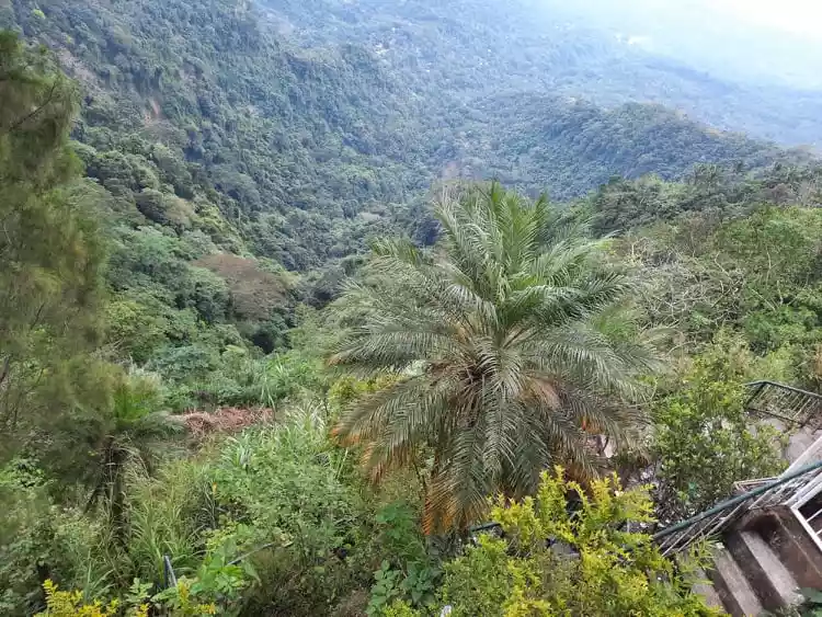 40has Superb Taal Lake Center view Lot - photo 4