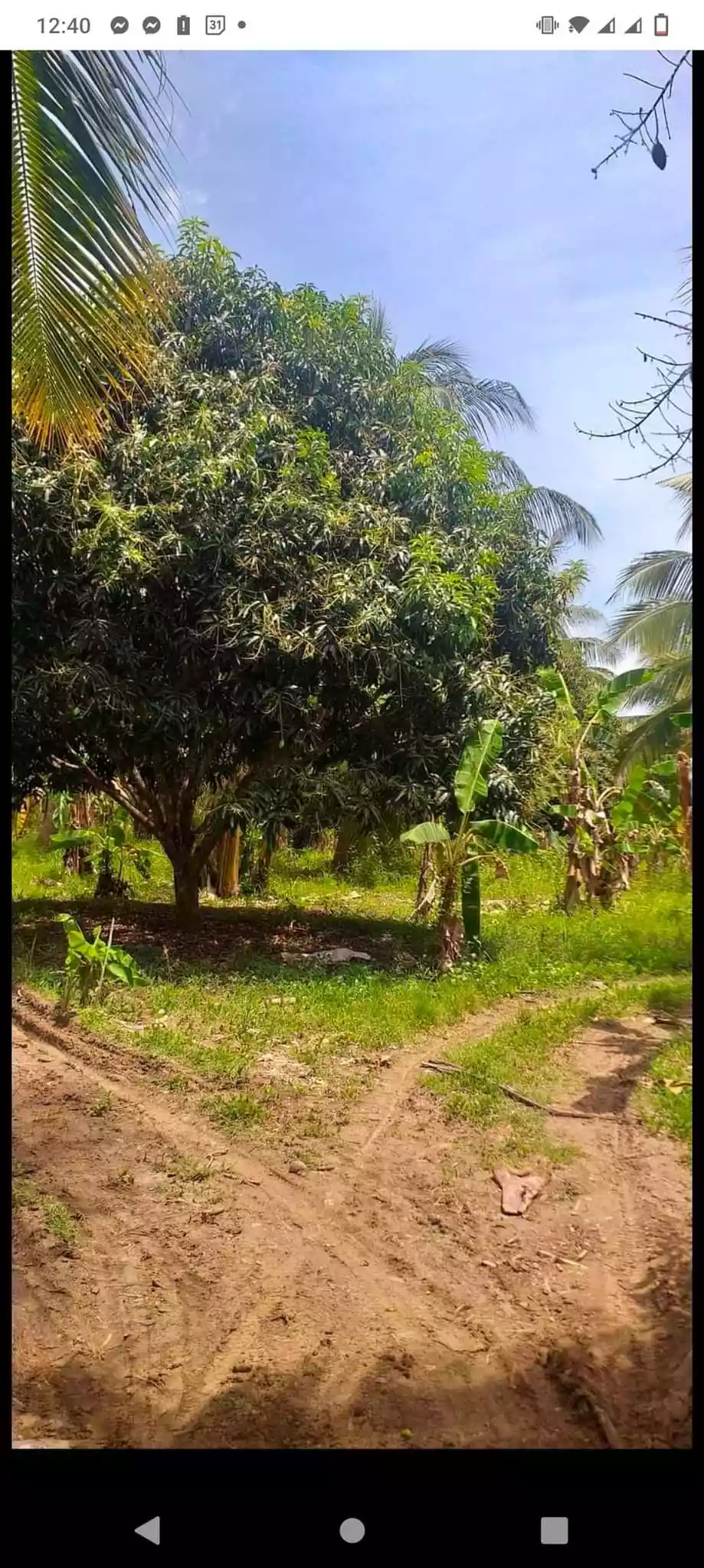 Alabel bagacay lot - photo 5