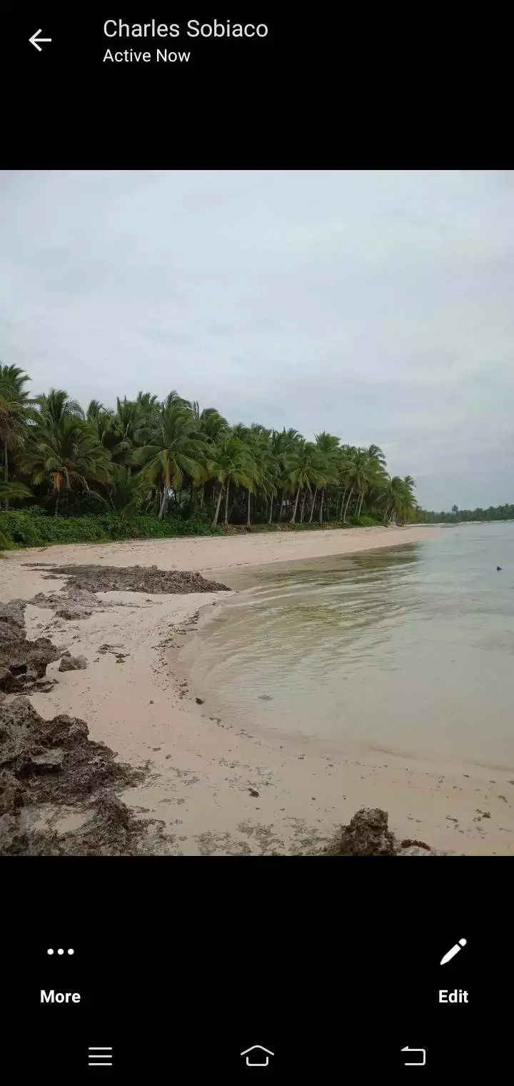 WHITE SAND BEACH LOT — Beach Lot in Baganga, Davao Oriental, Philippines — Photo 6