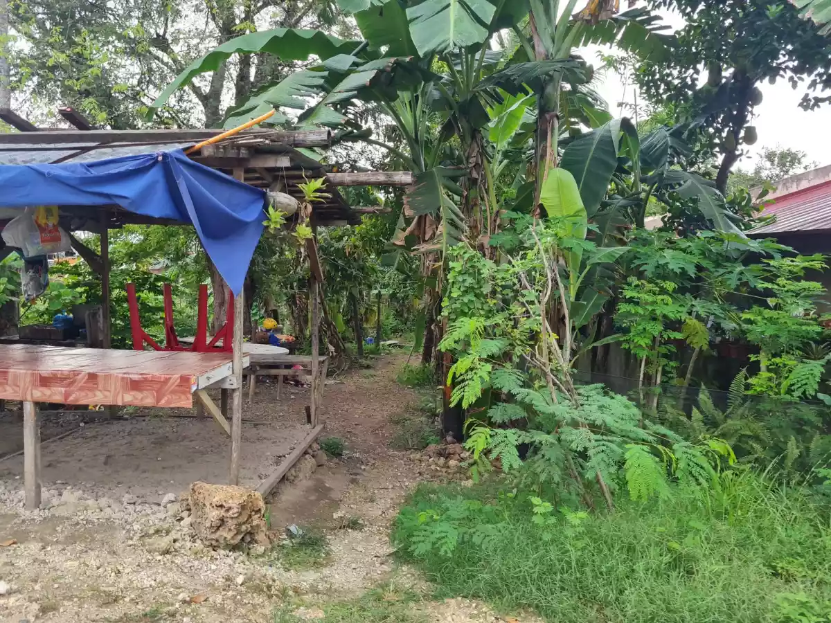 Lot  For Sale in Yati Liloan - photo 7