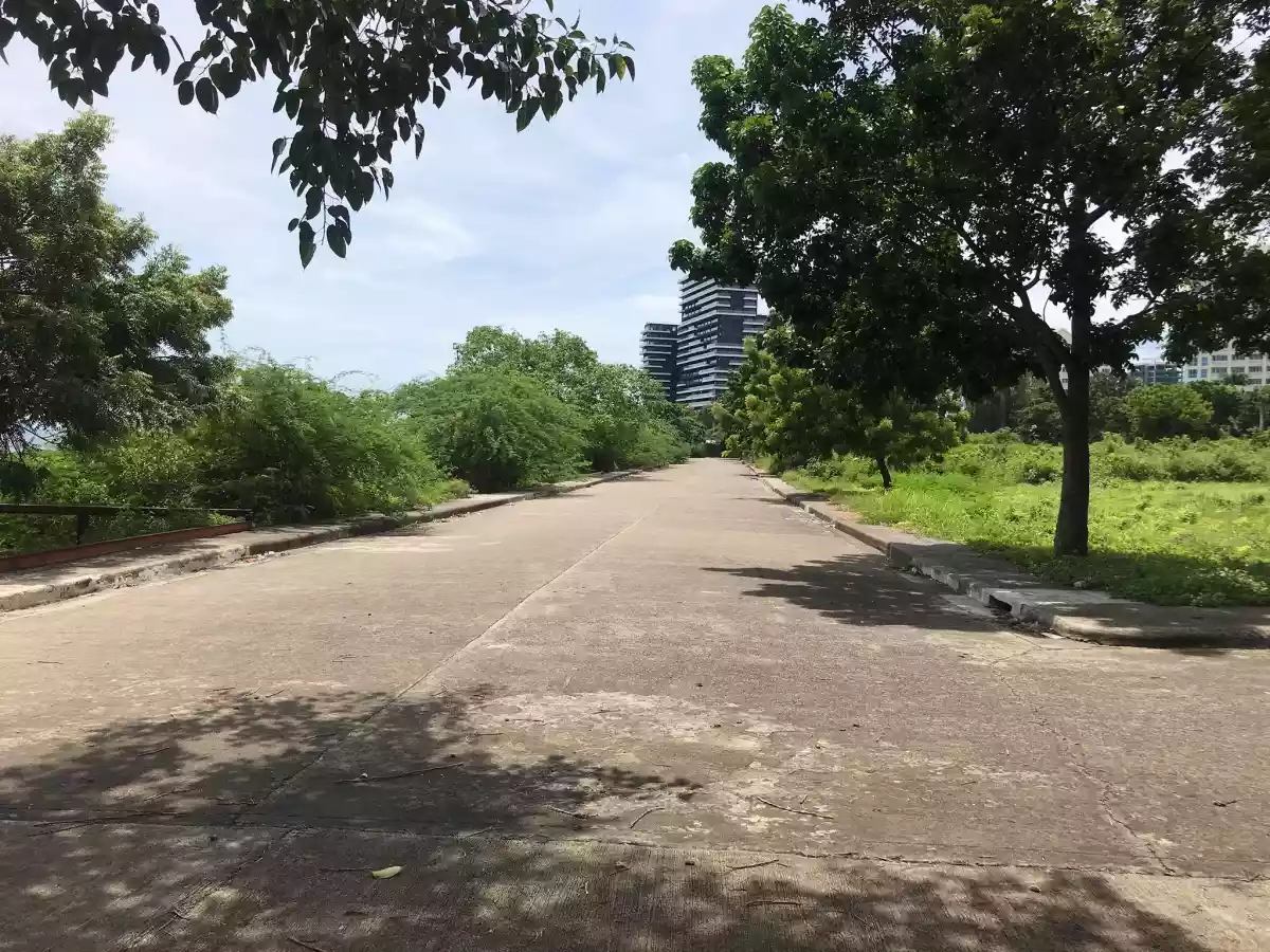 Beach lot for sale - photo 7