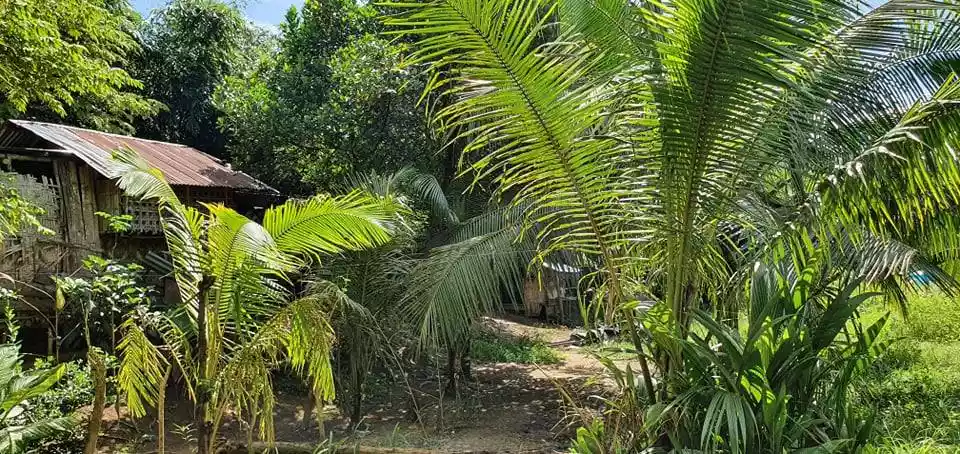 3,5 hectares lot in Pagsabangan, Tagum for sale — Agricultural Lot in Tagum, Davao del Norte, Philippines — Photo 4