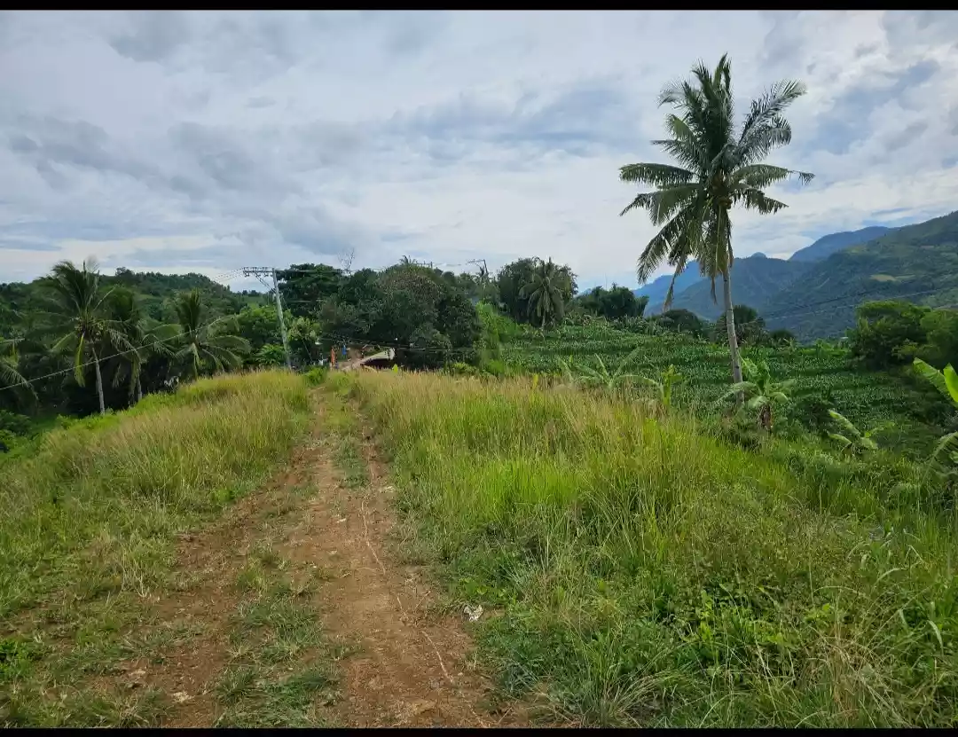 AGRICULTURAL LOT FOR SALE IN LUSARAN CEBU CITY 130,317 SQM.  - photo 4