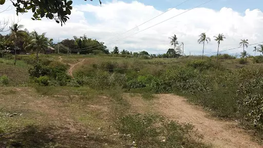 Lot for Sale in Amlan Negros Oriental
