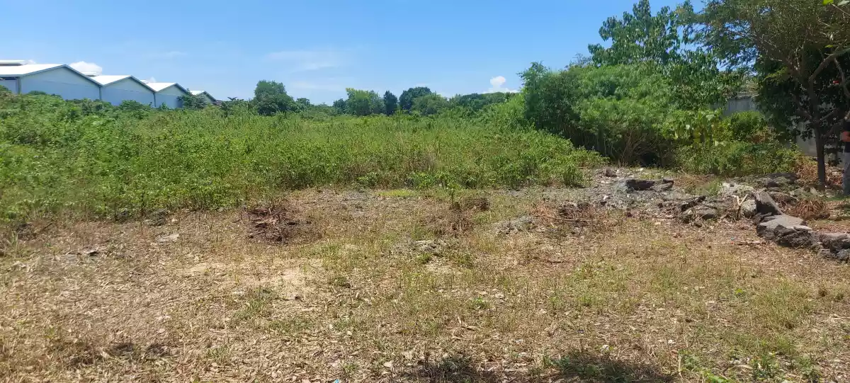 PROPERTY FOR SALE - AGUS, MACTAN - photo 6