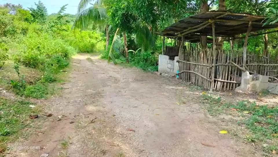 Tuburan Agricultural Lot for sale! — Agricultural Lot in Tuburan, Cebu, Philippines — Photo 3
