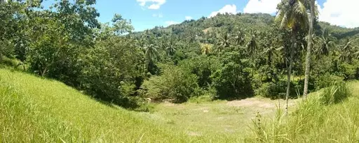 Open photo 18 of 27 — Very rush sale farm lot