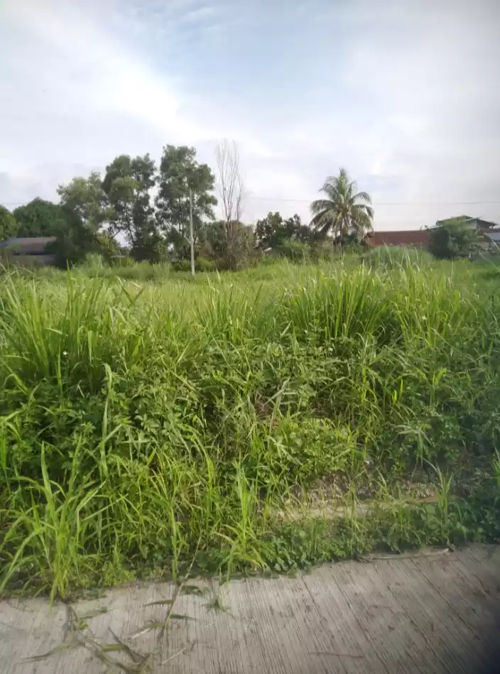 150-sqm LOT in Luisville Subdivision  Fortune Towne, Bacolod City  - photo 4