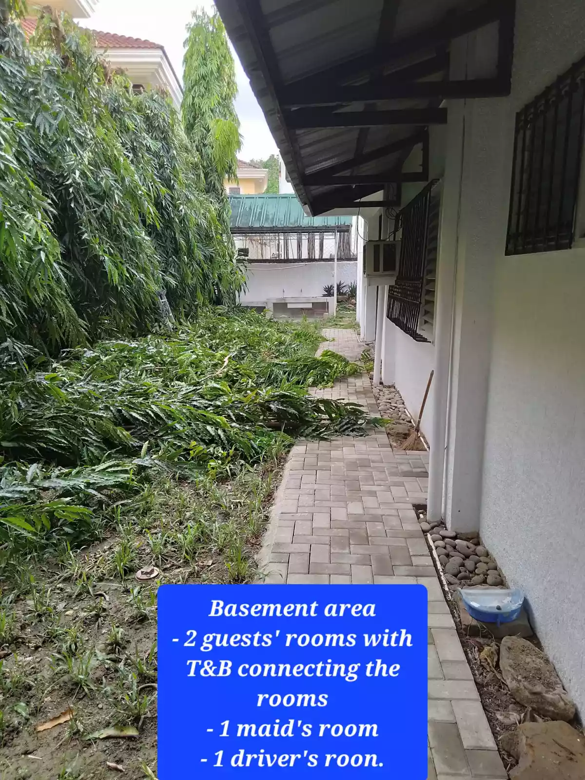 Silverhills Subdivision House and Lot for Rent - photo 3