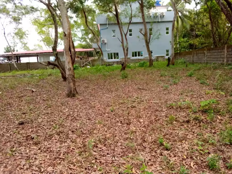 Sipalay City Beach Lot — Beach Lot in Sipalay, Negros Occidental, Philippines — Photo 4
