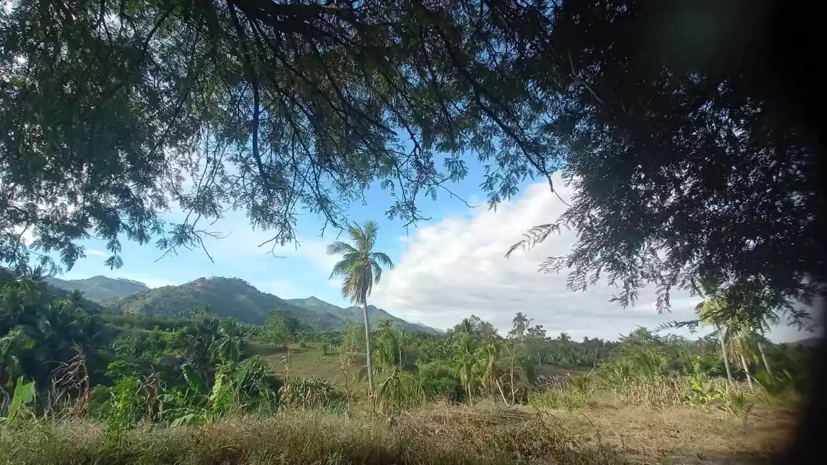 Agricultural Lot in McKinley, Sulop, Davao del Sur - photo 7