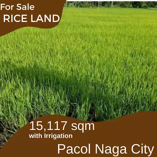 Agricultural Lot for Sale in M65V+GR Naga, Camarines Sur